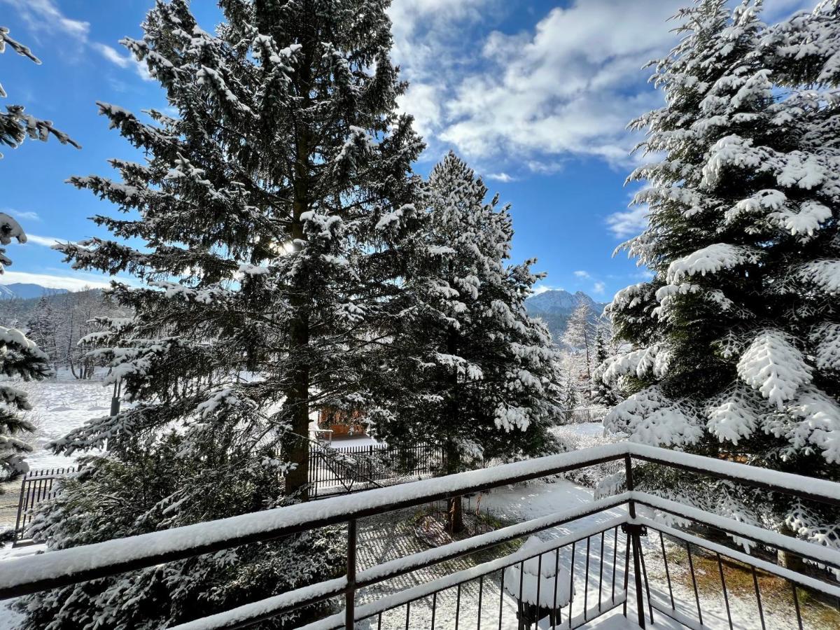 Homestay Kwatera Gorska 903mnpm
