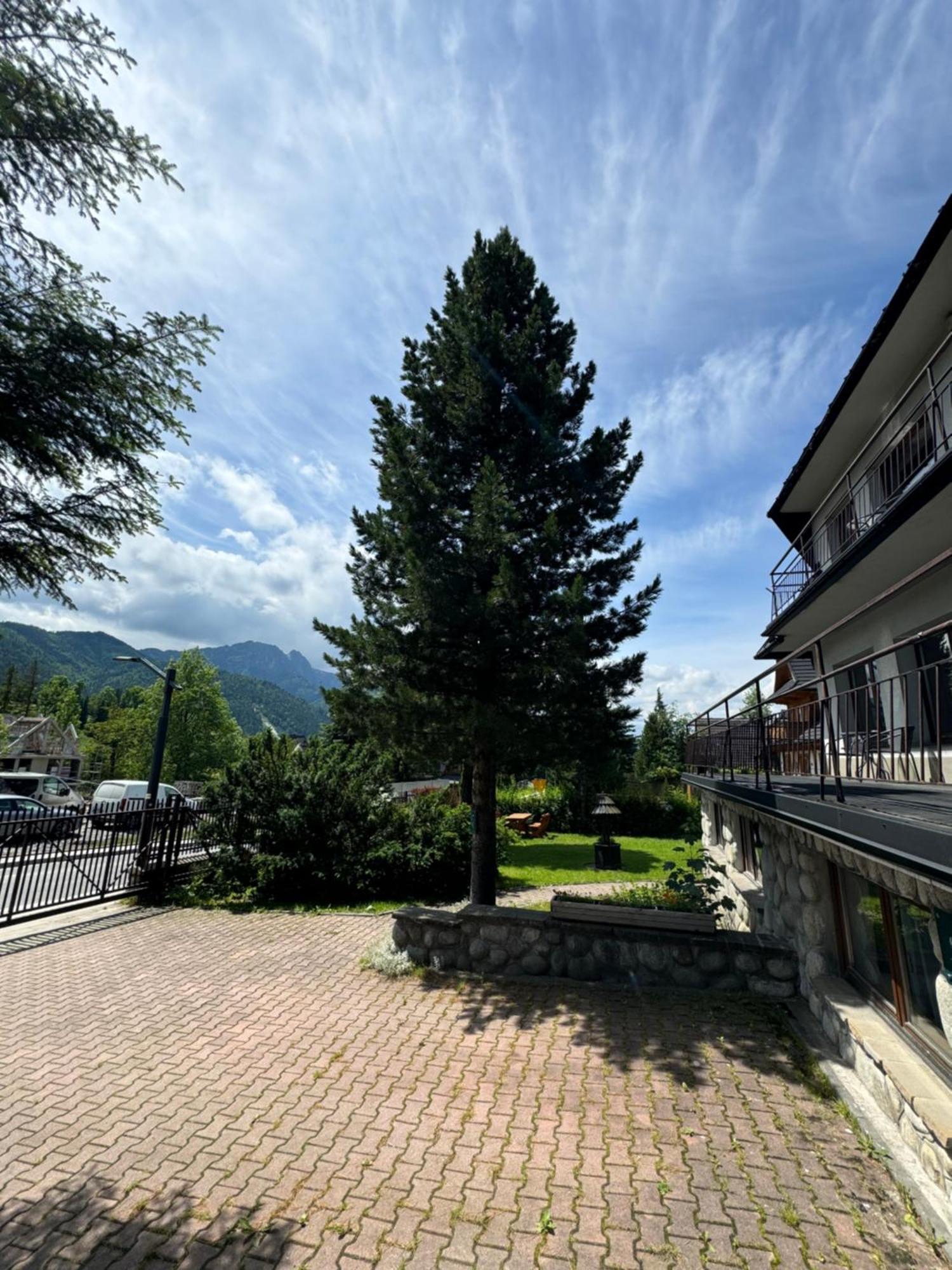 Homestay Kwatera Gorska 903mnpm *