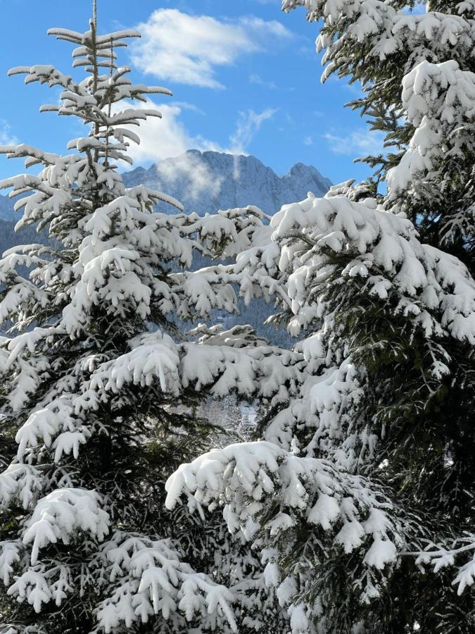 Kwatera Gorska 903mnpm * Zakopane